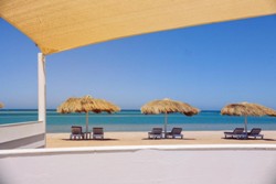 Turtle's Inn - El Gouna. Marina Beach Club.